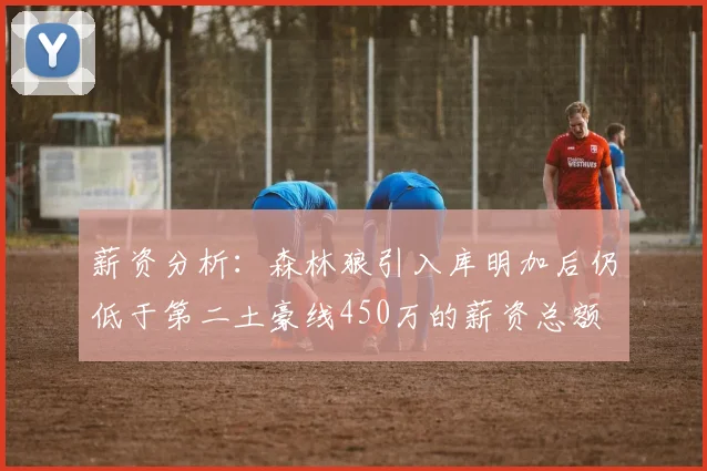 薪资分析：森林狼引入库明加后仍低于第二土豪线450万的薪资总额